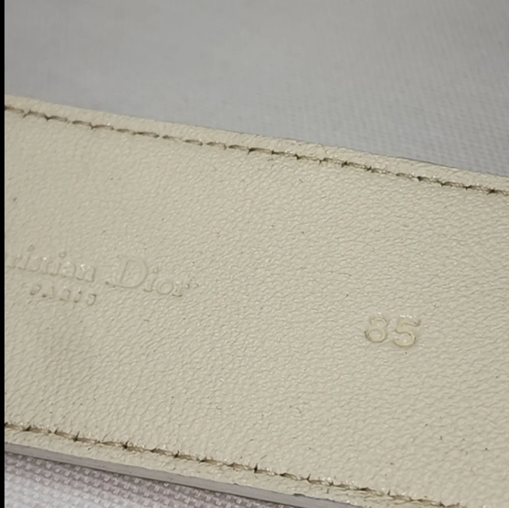 Dior authentic christian